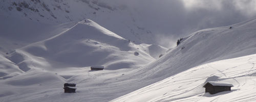 Transfer Sci Neve