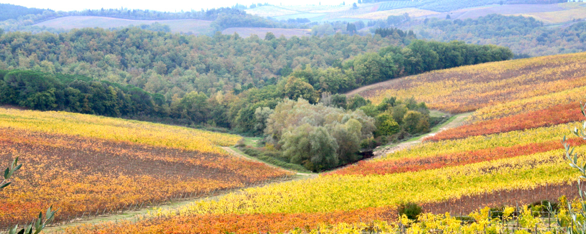 Transfer Toscana